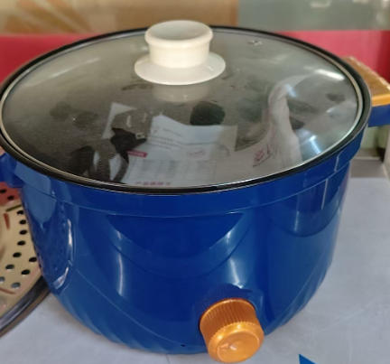 Multifunctional Temperature-Controlled Electric Hot Pot