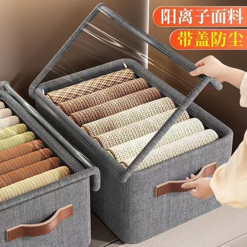 Transparent Lid Storage Box