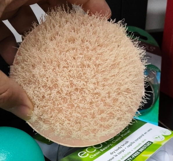 EcoTools Dry Body Brush