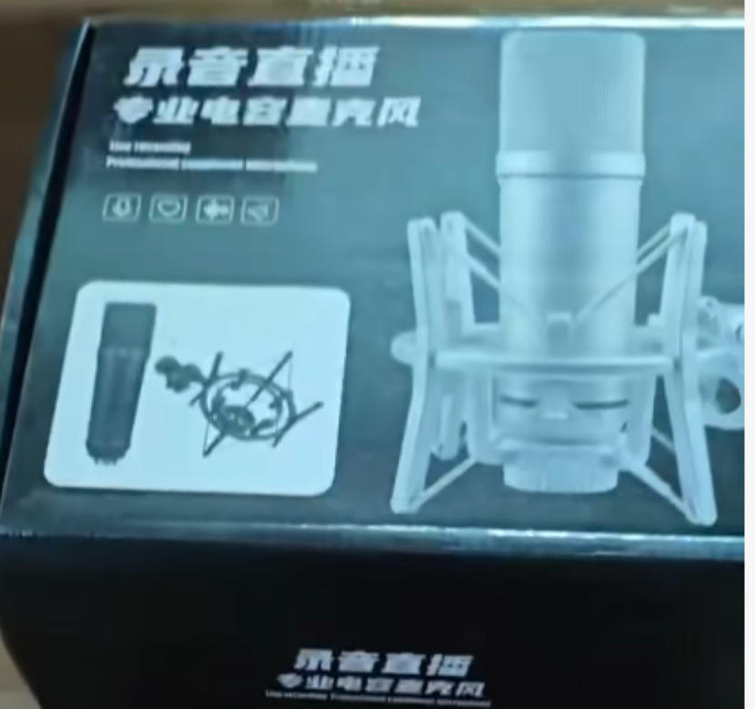 Professional Studio Condenser Microphone with Shock Mount