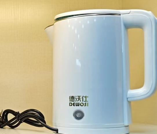 DEWOSI Electric Kettle