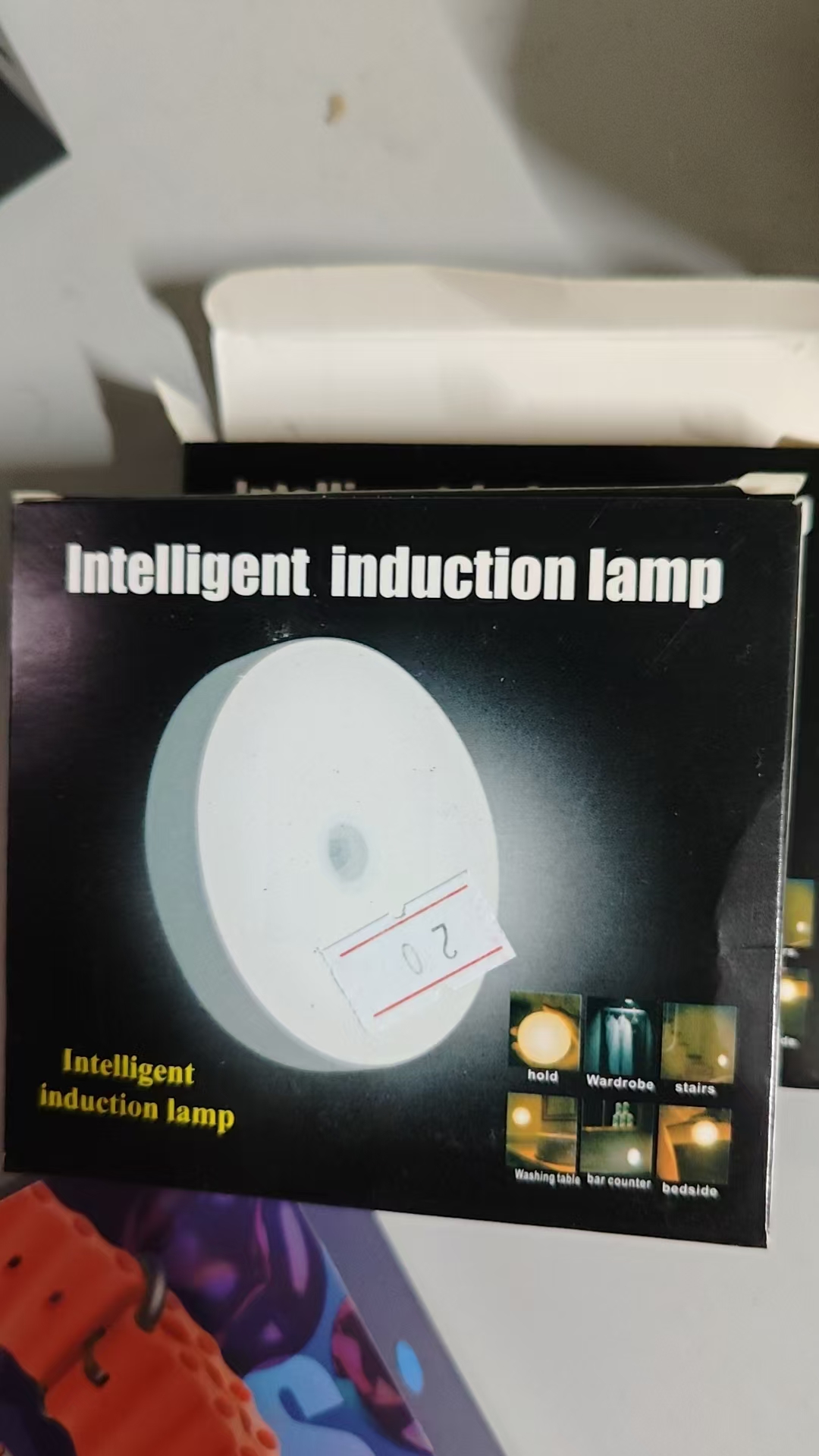 Intelligent Induction LED Lamp