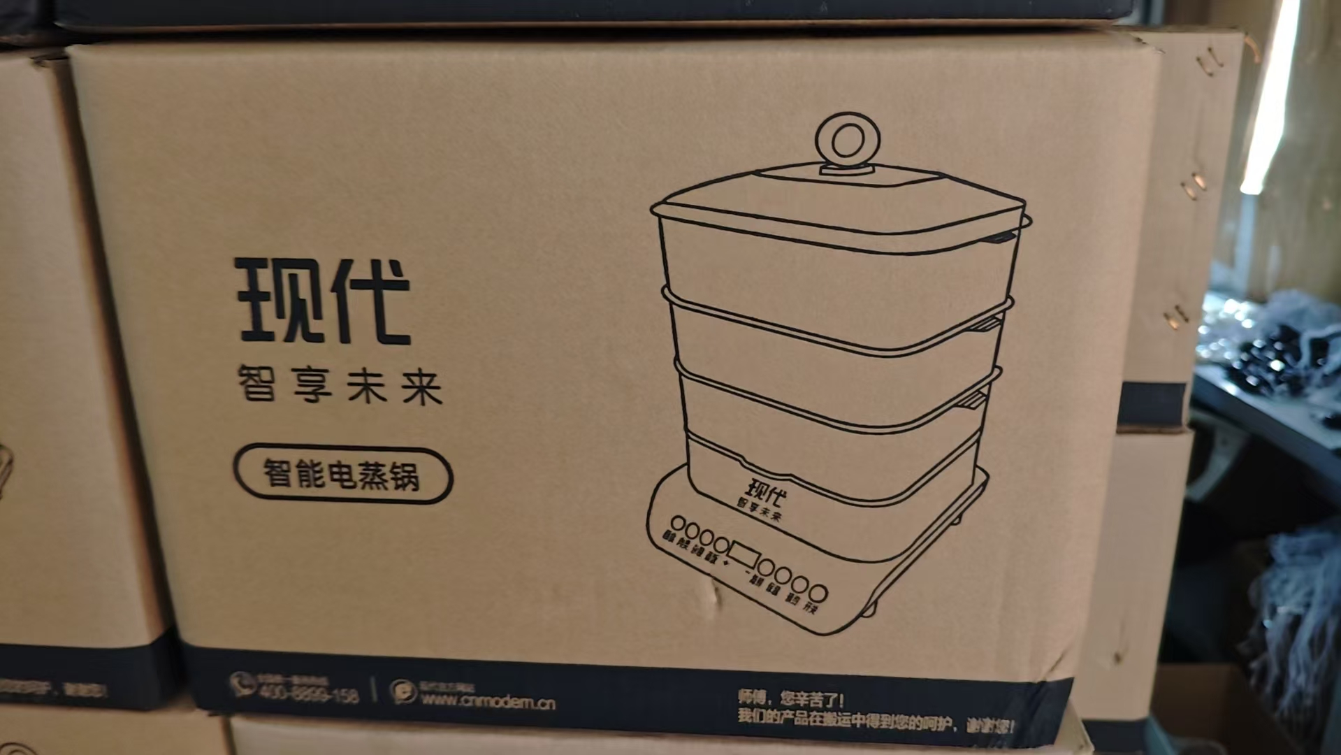 Modern Smart Electric Steamer